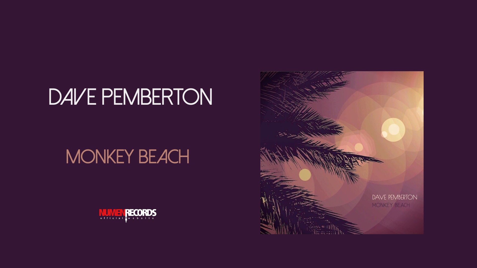 Monkey Beach - DAVE PEMBERTON