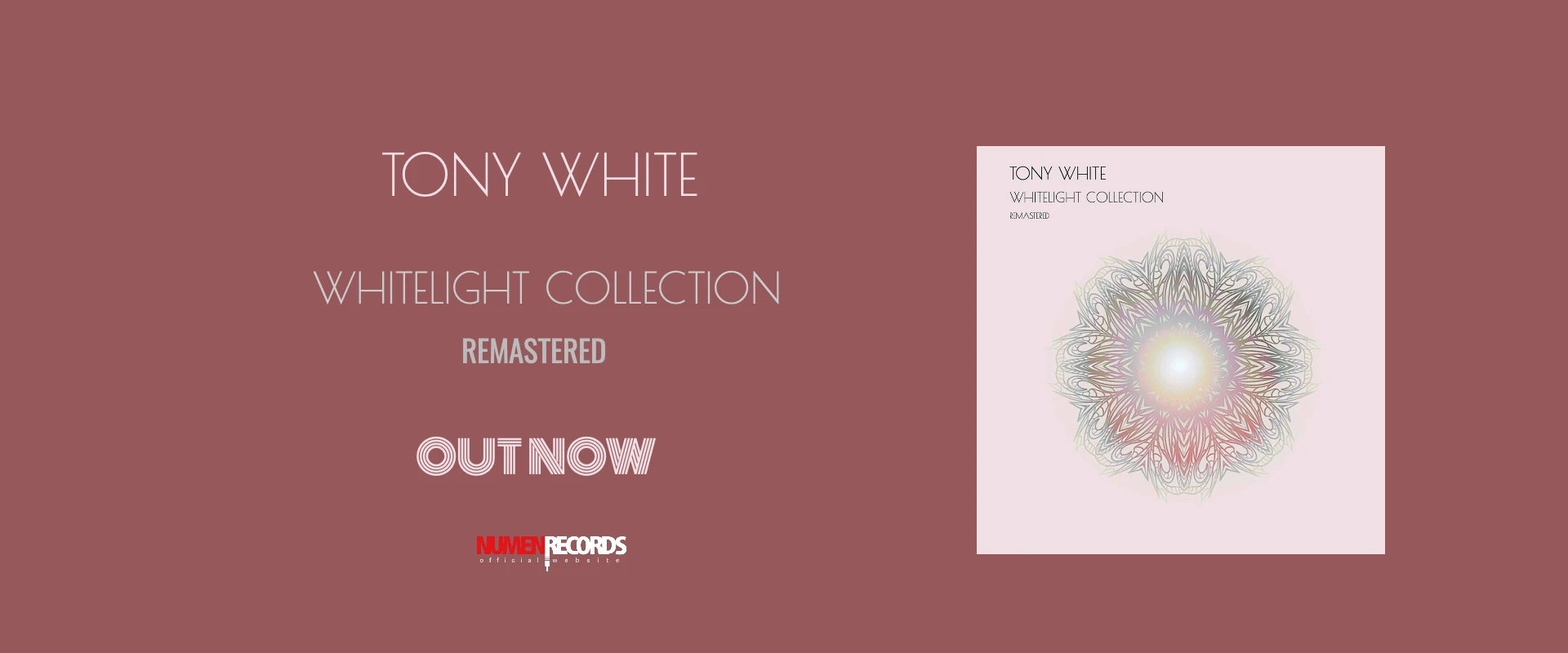 TONY-WHITE-WHITELIGHT-COLLECT-REM-SLIDE-BANNER-