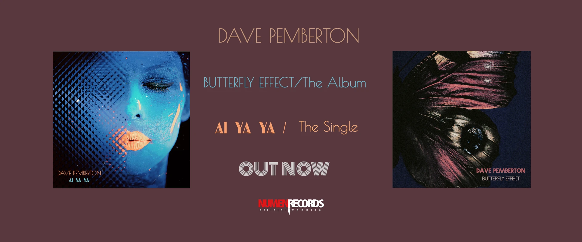 DAVE-PEMBERTON-BUTTERFLY-EFFECT-AI-YA-YA-SLIDE-BANNER-
